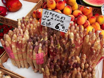 Vegetables as Art