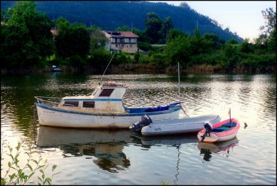 Tranquile