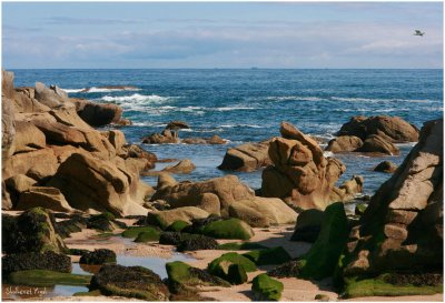 Praia de Ril 2
