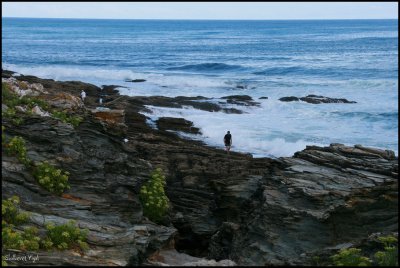 coast of Rinlo 1