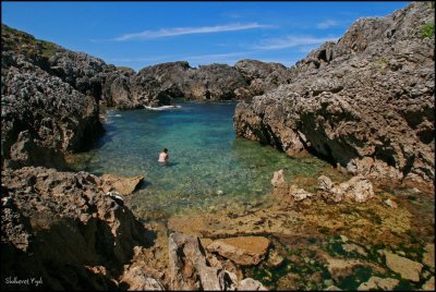 Natural pool