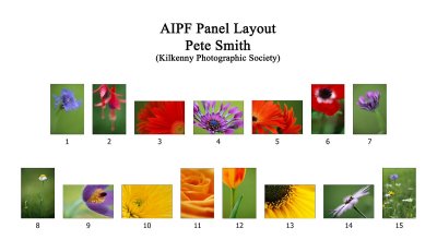 AIPF Panel Layout