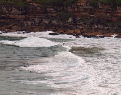 Freshwater Beach, New South Wales