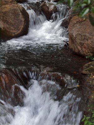 Stream near the Jenolan Caves