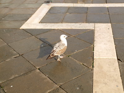 PB180945.JPG