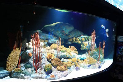 Pattaya - Underwater World
