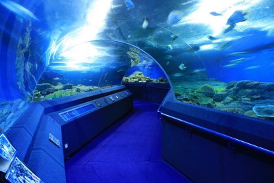 Pattaya - Underwater World
