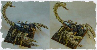21_Scorpions.jpg