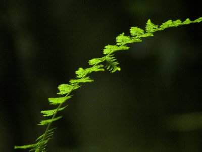 g1/44/540844/3/103368958.vxY8Ts7p.jpg