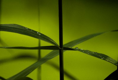 g1/44/540844/3/103530263.BhbmlWq0.jpg