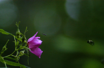 g1/44/540844/3/103656301.6zjXN0nj.jpg