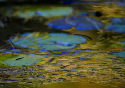 on a golden pond 654