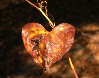 a worn old heart for donna 636