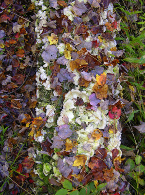 autumn palette 498