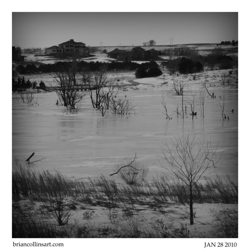 012810-DSC_7555bw-square.jpg