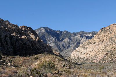 DSC_3348 b.jpg