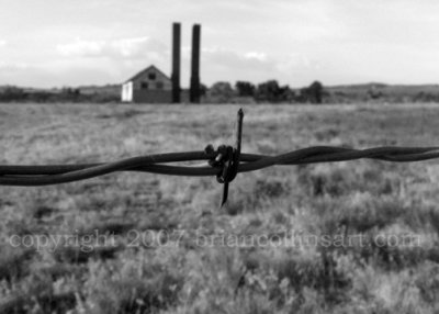 barbed wire 5 7 copy.jpg