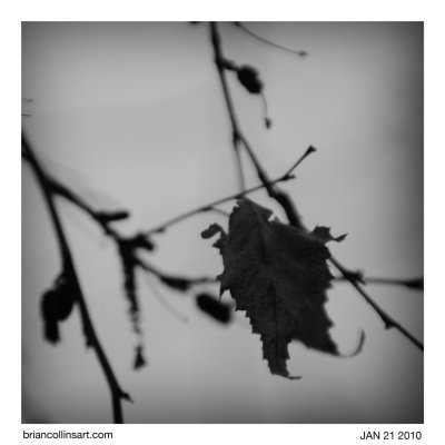 012110-DSC_7247bw-square.jpg
