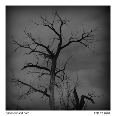 021210-DSC_8349bw-square.jpg