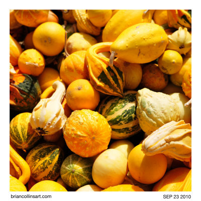 box of gourds