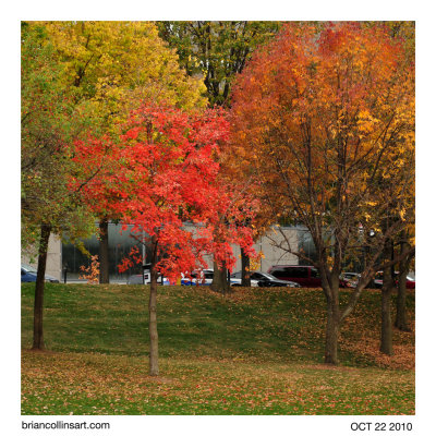 g1/44/611644/3/129680341.8hNlOx3w.jpg