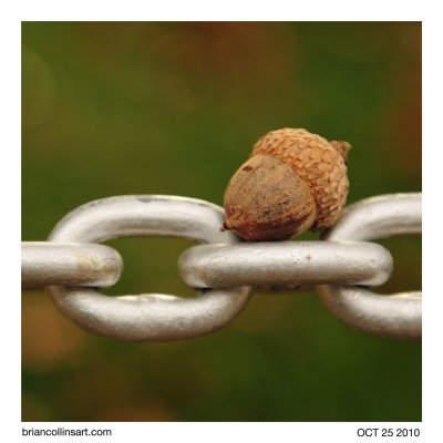acorn on chain