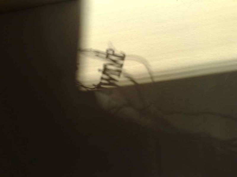 03012009243.jpg light