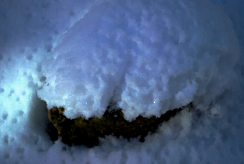 snow on the hebe