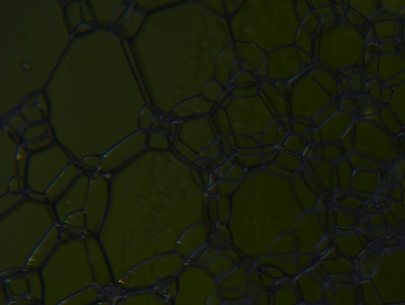 bubbles