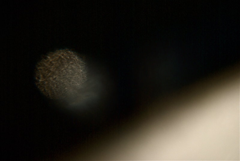 reflection8 x2.jpg