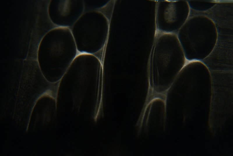 Refracted light-DSC_0117.jpg