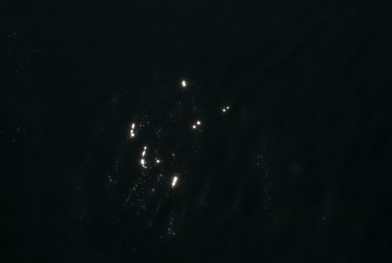 DSC_0452.jpg