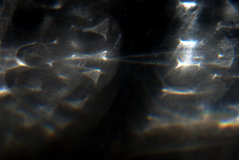 DSC_0485.jpg