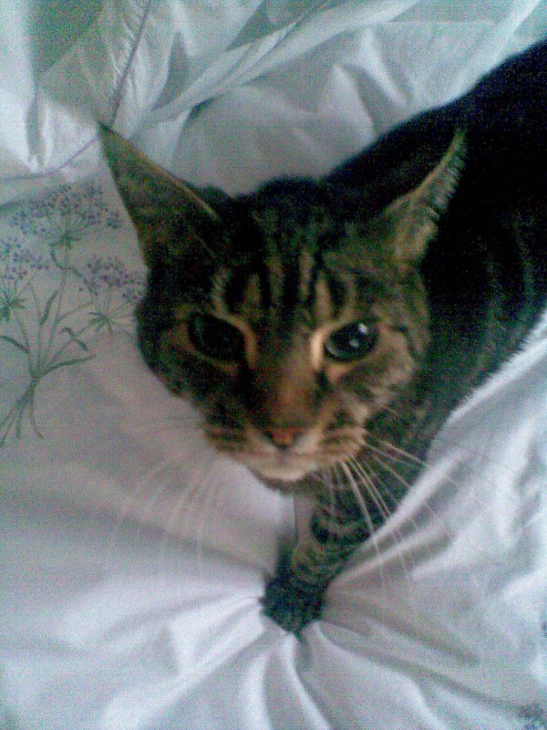 Image040.jpg.Phoebe