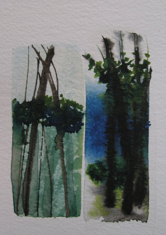 small watercolour studies