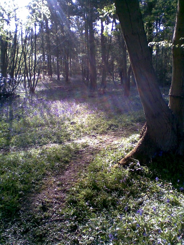 Image067.jpg
