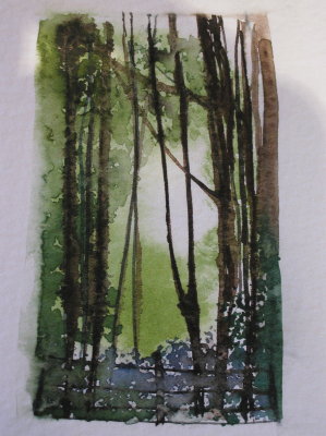 small watercolour studies