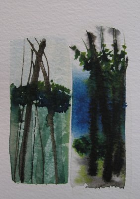 small watercolour studies
