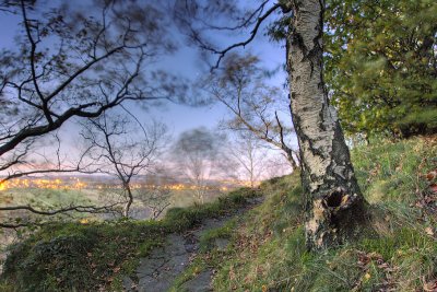 Pathway