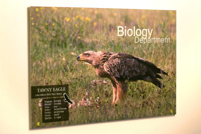 biologyposters
