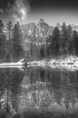 Alpine reflection b+w