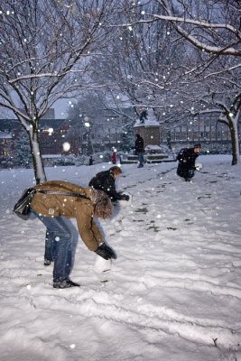 Snowfight