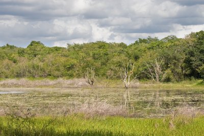 landscapes.jpg
