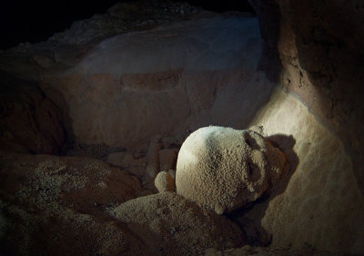 cavesskull4.jpg