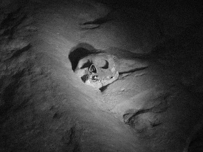 cavesskull.jpg