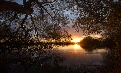 Attenborough Reserve Sunset