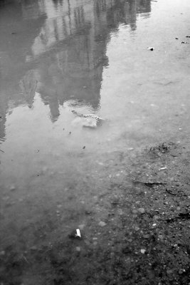 puddle reflect.jpg