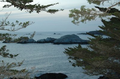 Big Sur dusk 5.JPG