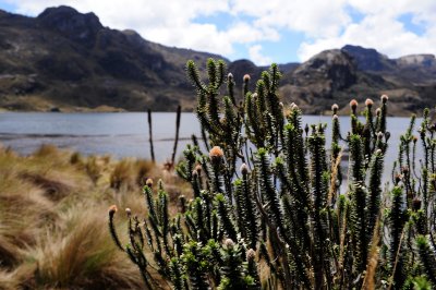 Parque Nacional Cajas