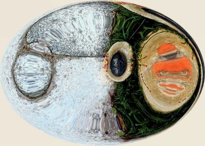 Garden Detail in an Egg